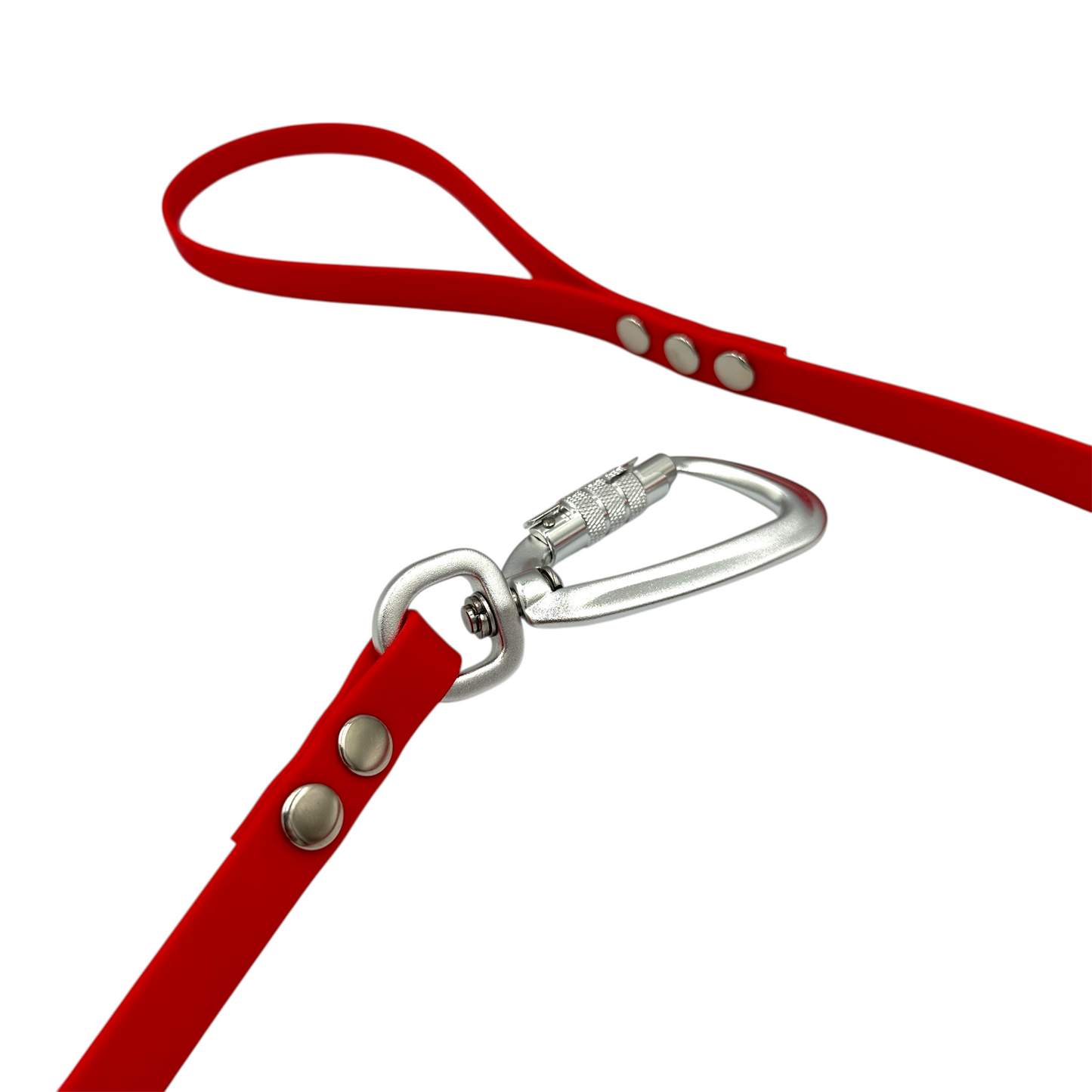 Waterproof Dog Lead - Small Dogs (13mm Width) Design Your Own
