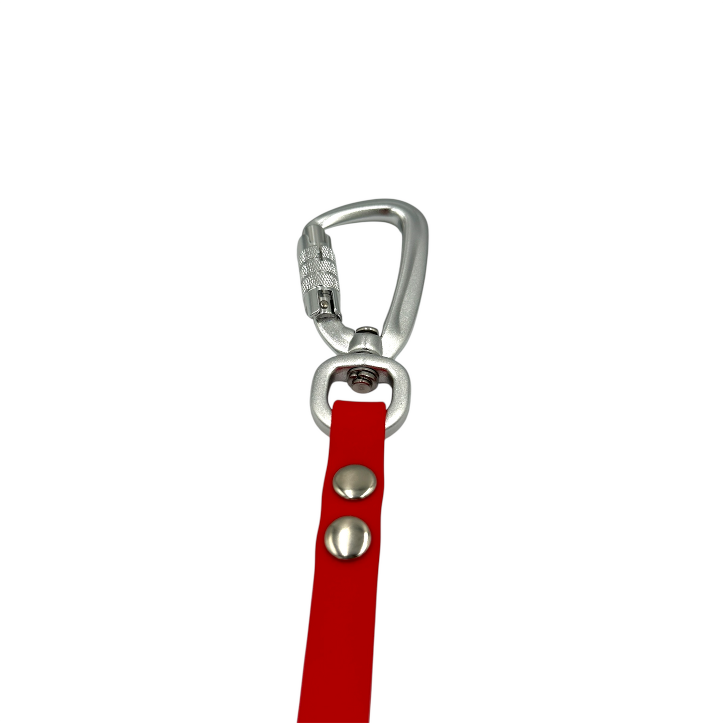 Waterproof Dog Lead - Small Dogs (13mm Width) Design Your Own