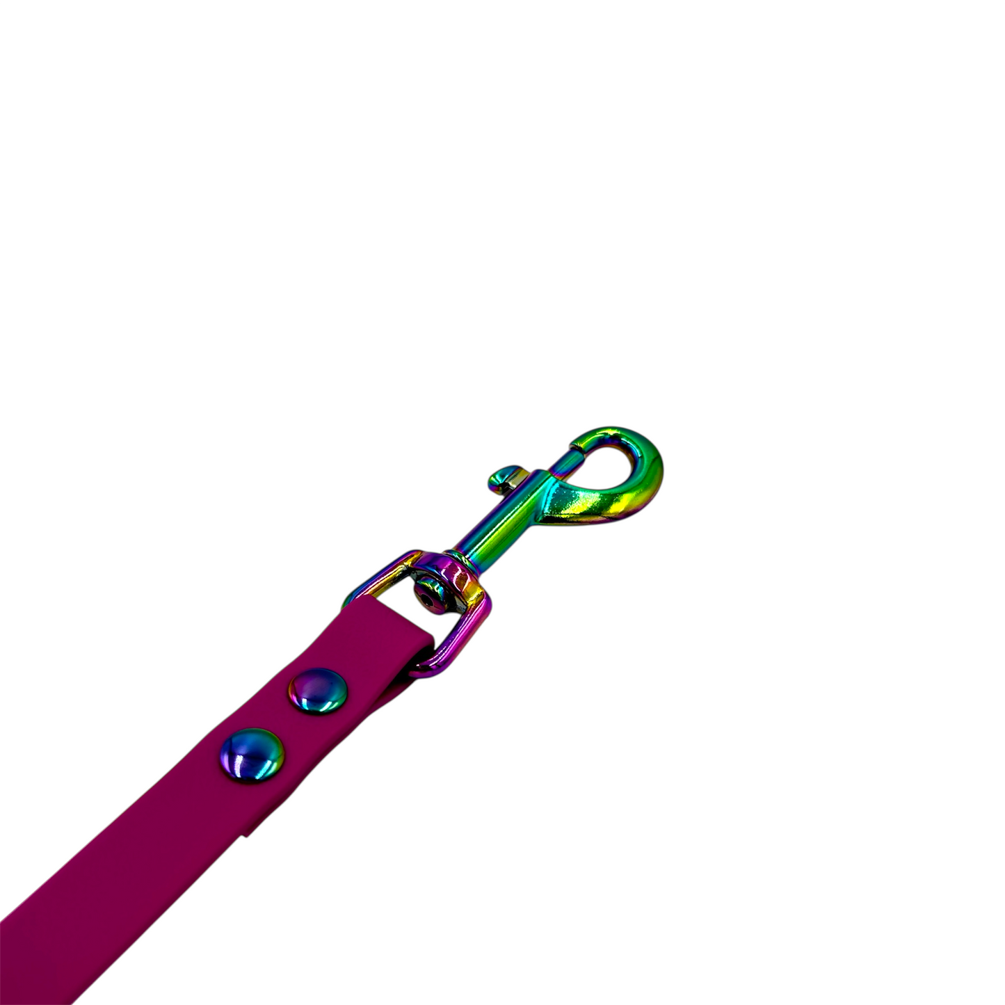 Waterproof Dog Lead - Medium Dogs (16mm Width) Design Your Own