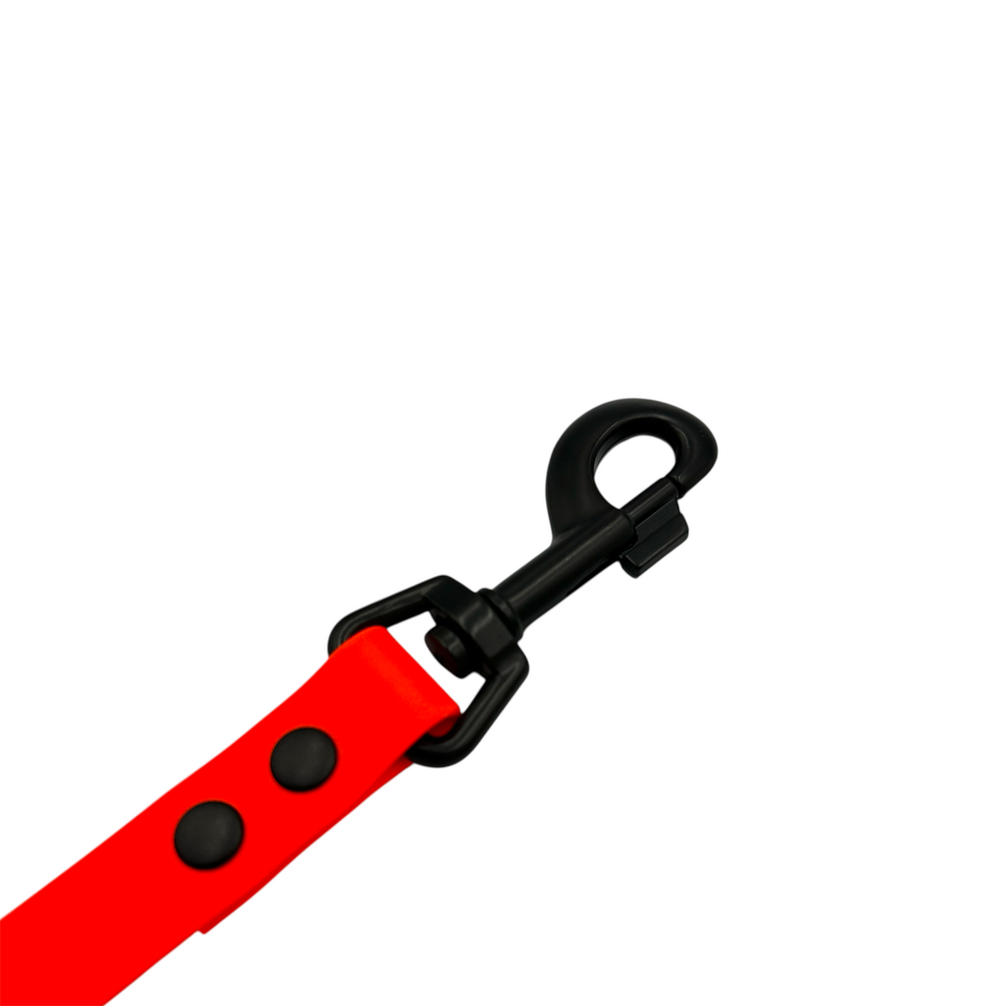 Waterproof Dog Lead - Large Dogs (20mm Width) Design Your Own