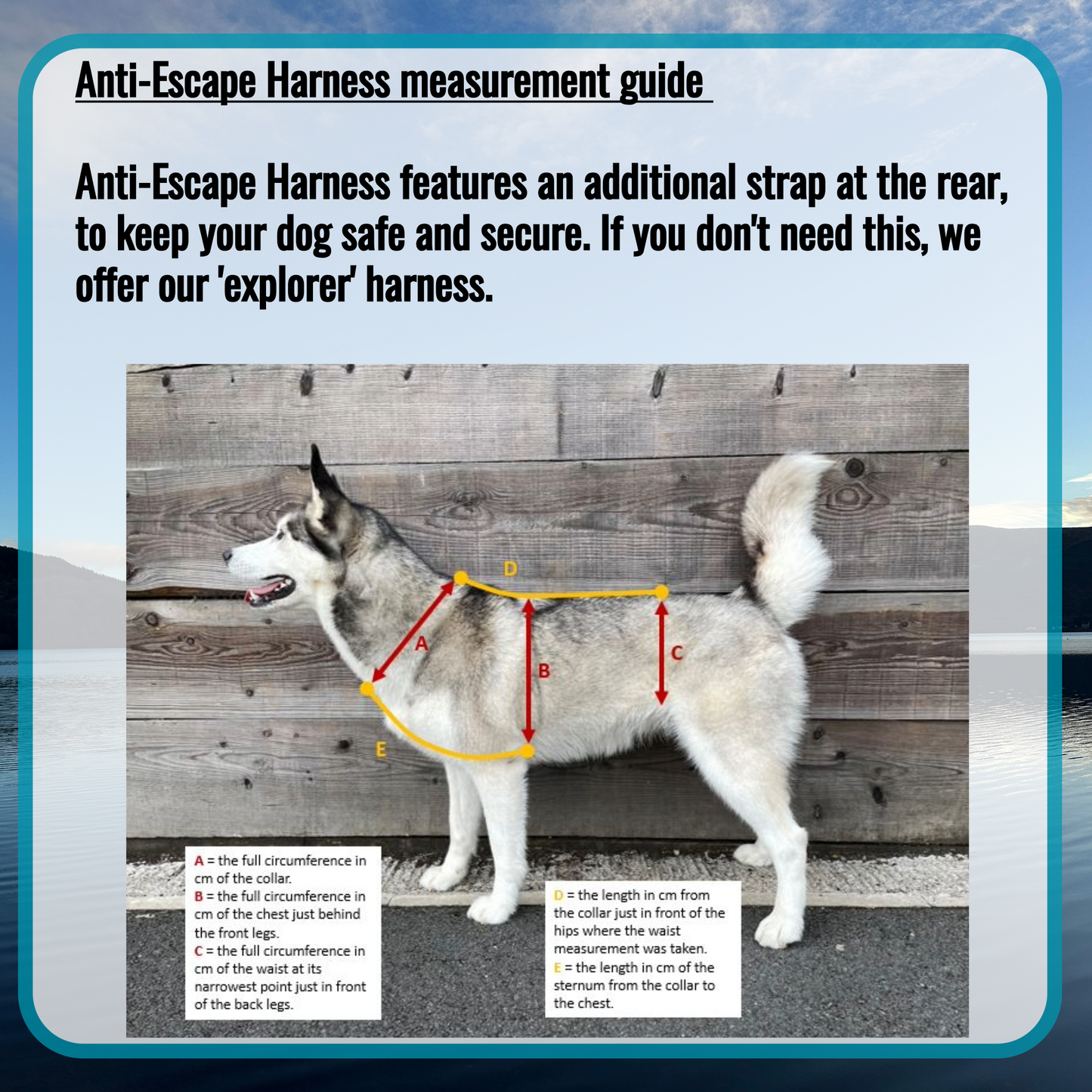 COBRA® Pro Anti-Escape Harness - Design Your Own