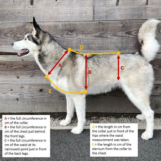 Waterproof Anti-Escape Dog Harness - Design Your Own