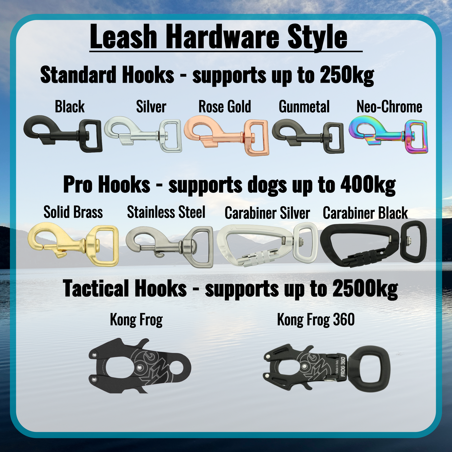 Dual-Clip Training Dog Lead - Design Your Own