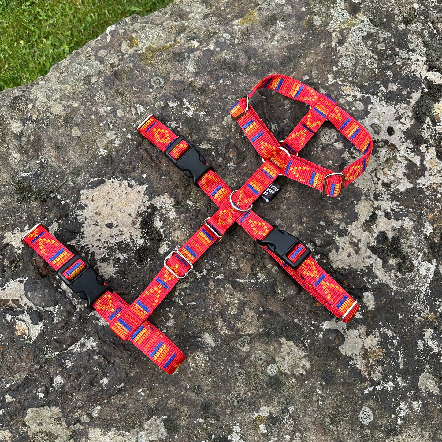 Adjustable Anti-Escape Dog Harness - Design Your Own