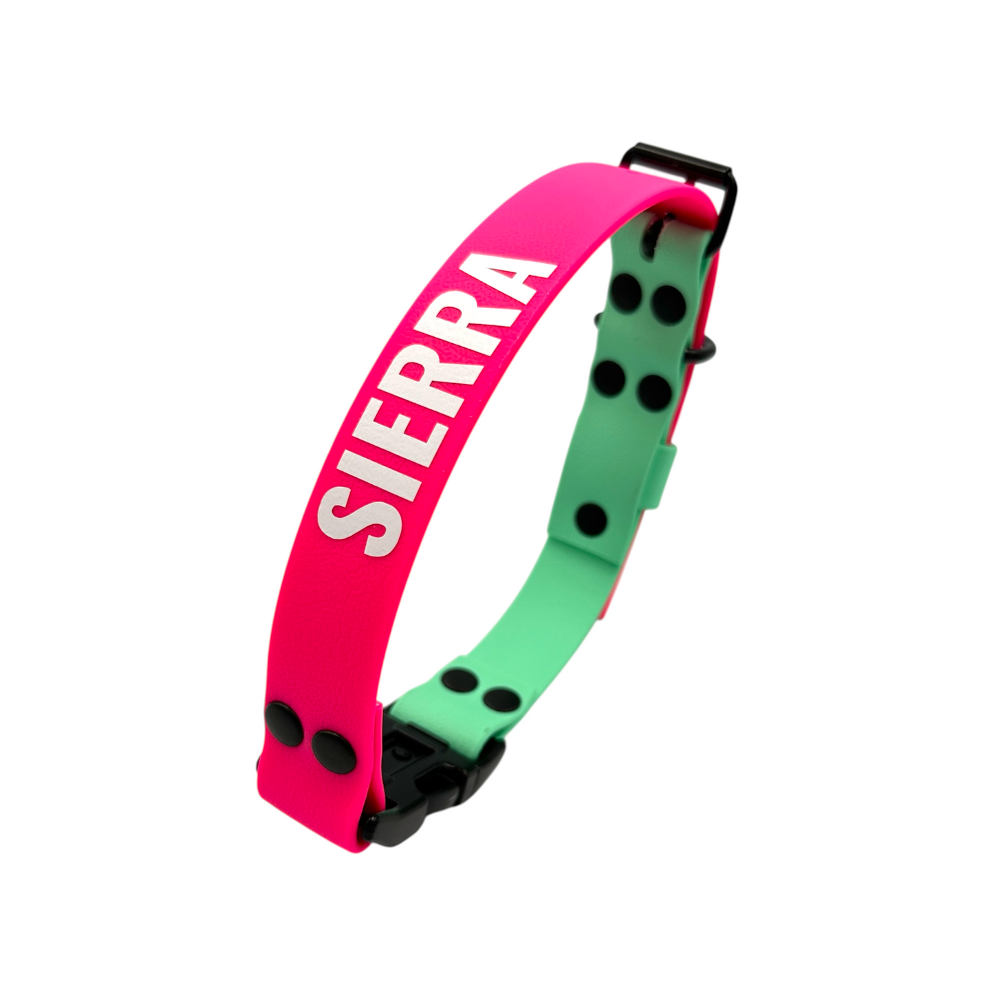 Caribbean Green & Neon Pink Waterproof Dog Collar