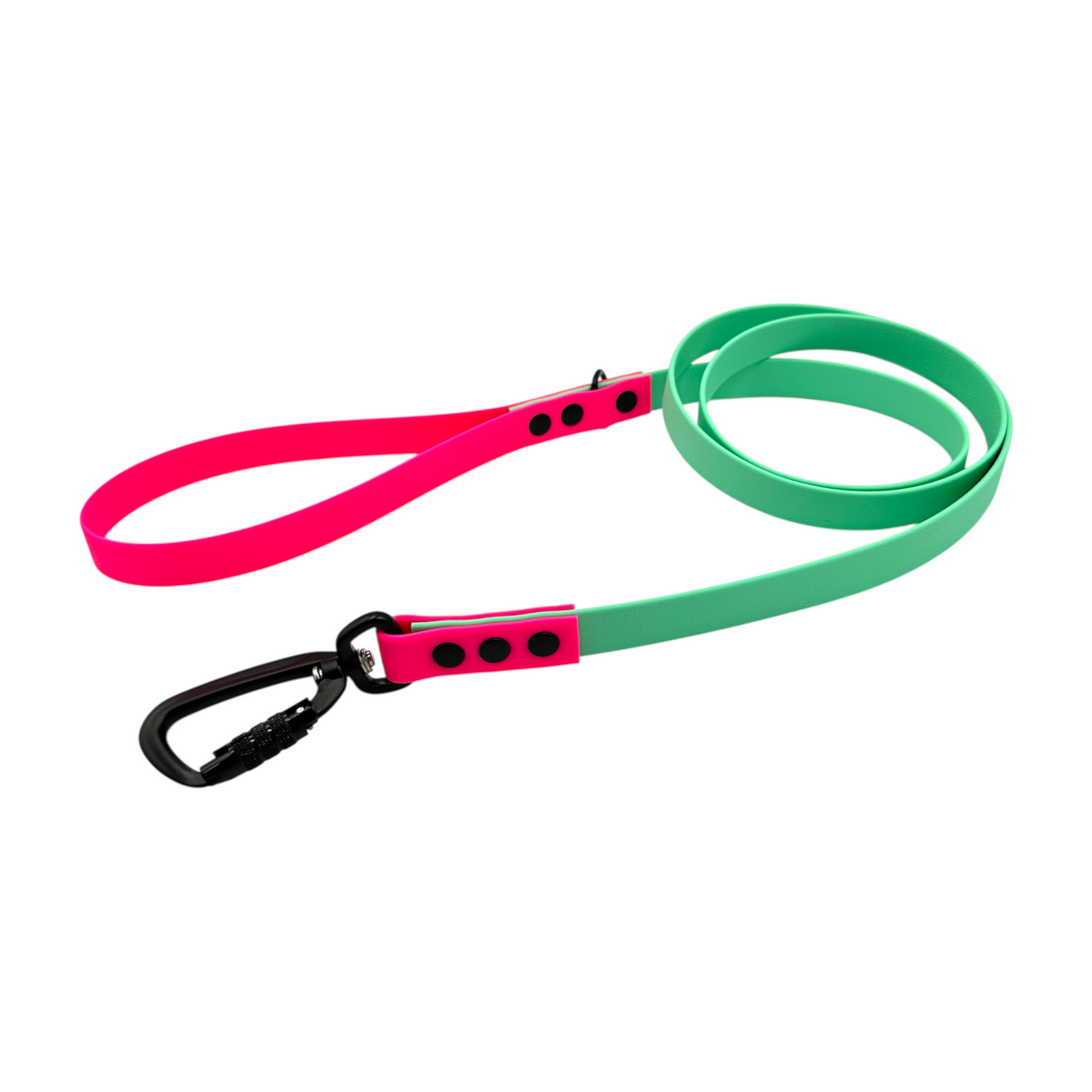 Caribbean Green & Neon Pink Waterproof Dog Collar & Dog Lead Set