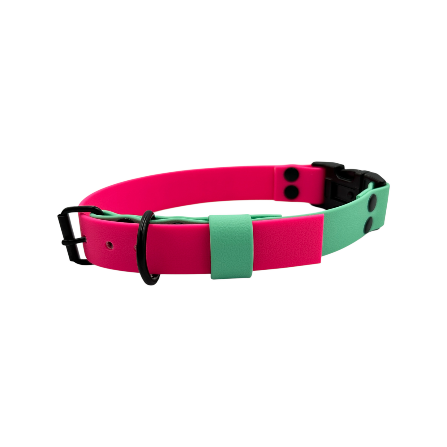 Caribbean Green & Neon Pink Waterproof Dog Collar