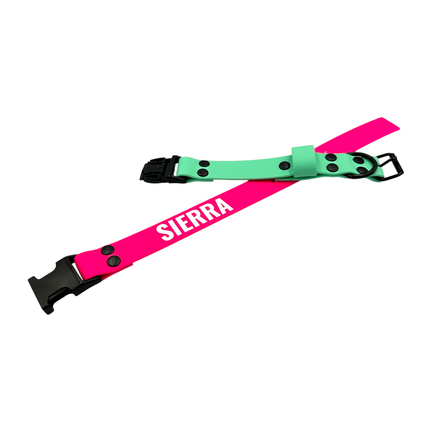 Caribbean Green & Neon Pink Waterproof Dog Collar