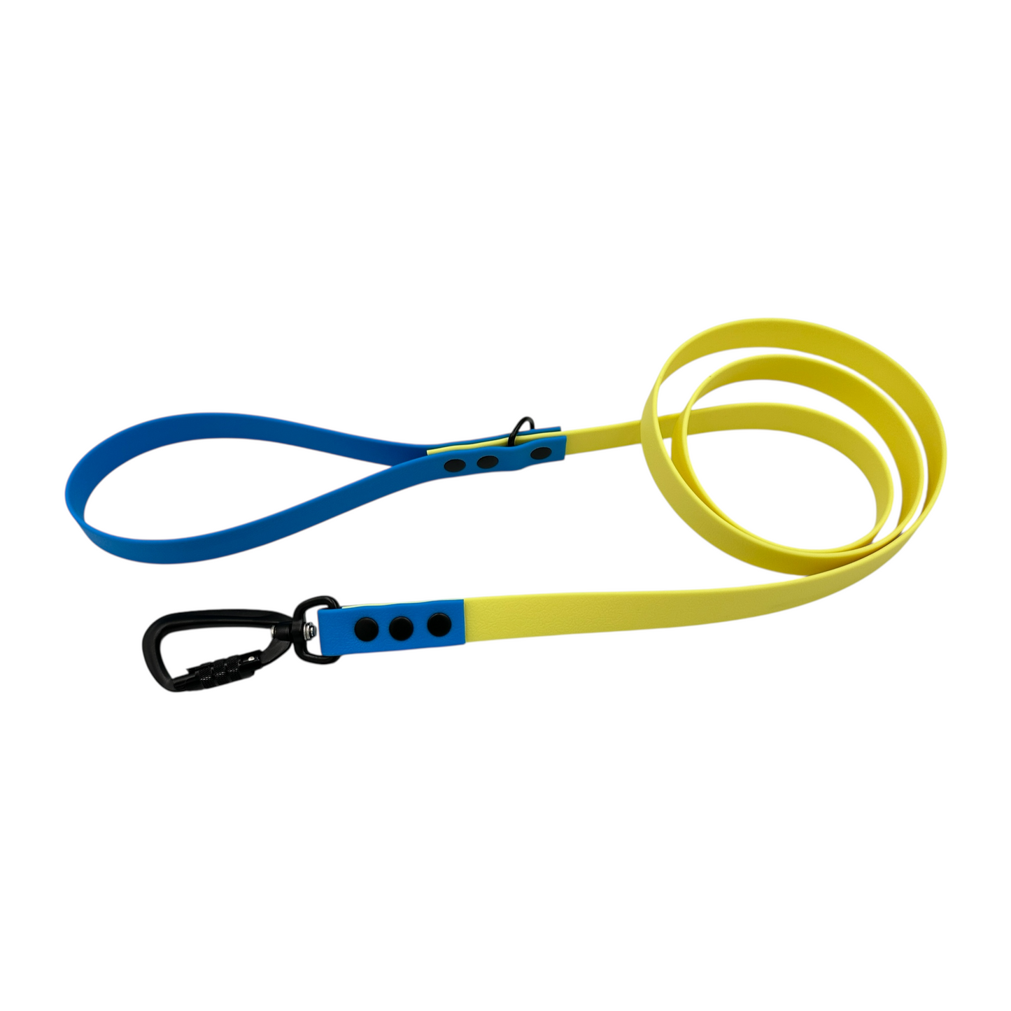 Pastel Yellow & Sky Blue Waterproof Dog Collar & Dog Lead Set