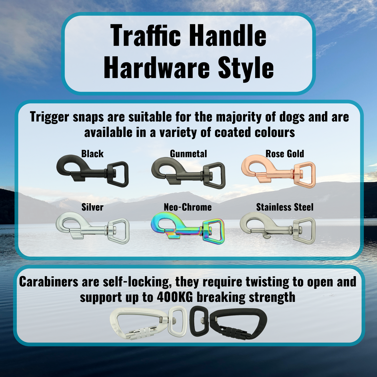 Waterproof Traffic Handle Dog Lead - Large Dogs (20mm width) Design Your Own