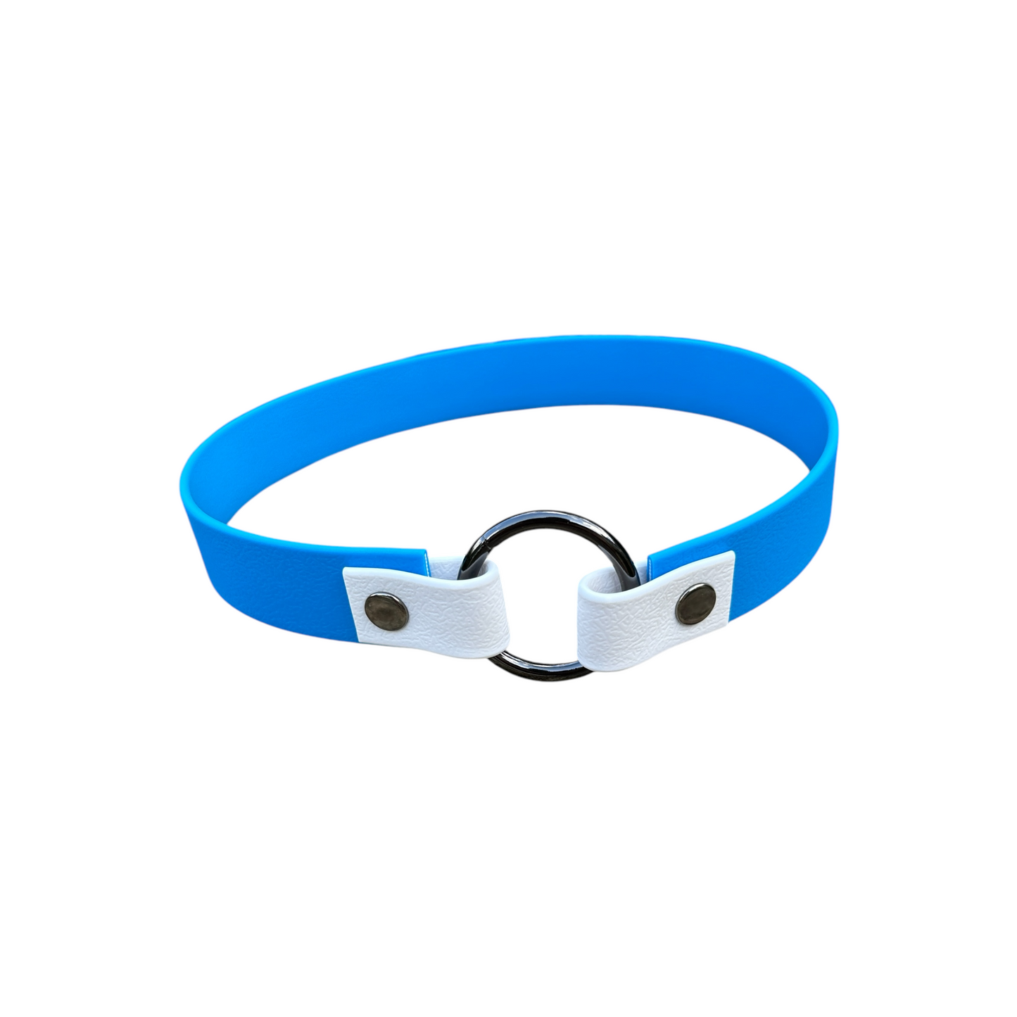Waterproof ID Tag Dog Collar - Design Your Own