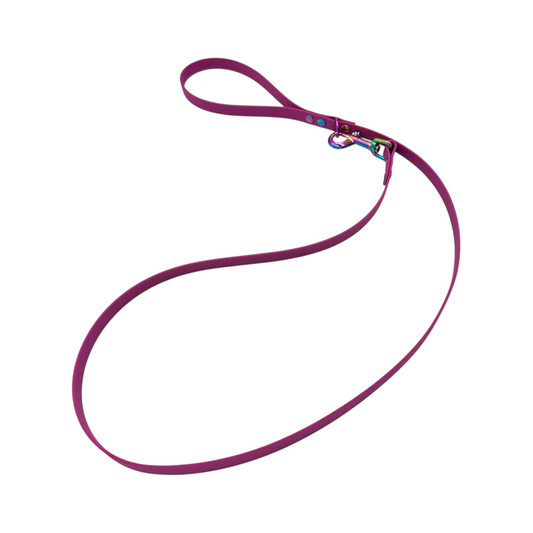 Waterproof Dog Lead - Medium Dogs (16mm Width) Design Your Own