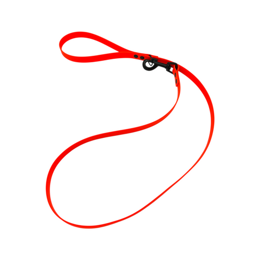Waterproof Dog Lead - Large Dogs (20mm Width) Design Your Own