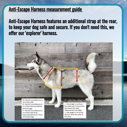 Escape Proof Dog Harness | COBRA® Pro Buckles & Padded - Design Your Own