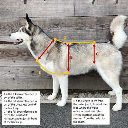 Escape Proof Dog Harness | Waterproof - Design Your Own