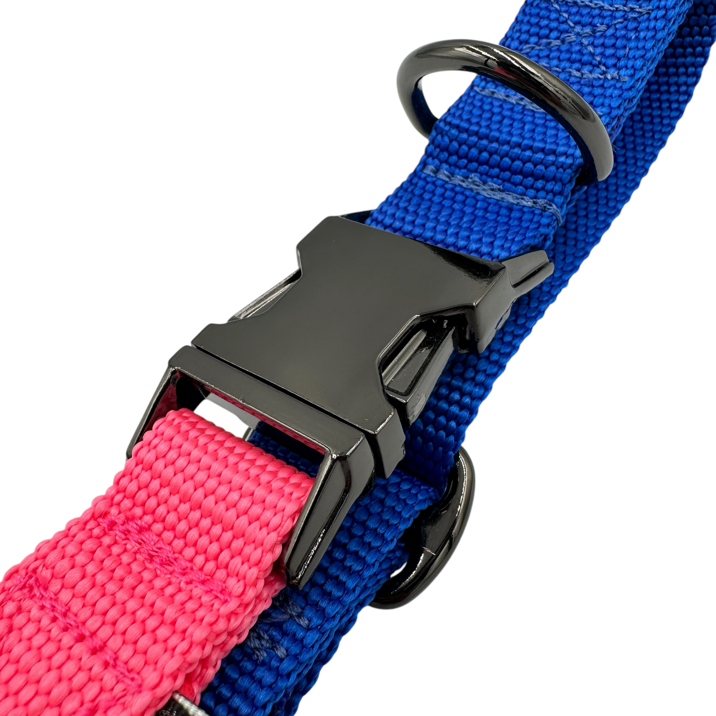 Two-Tone Dog Collar - Design Your Own
