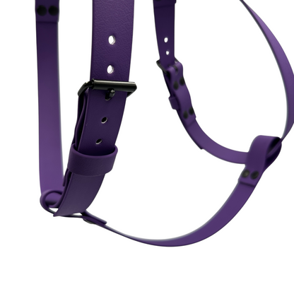 Y-Shape Dog Harness | Waterproof - Design Your Own
