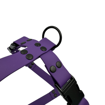 Y-Shape Dog Harness | Waterproof - Design Your Own