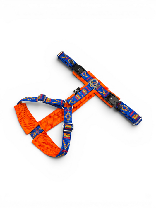 Explorer Harness - Design Your Own