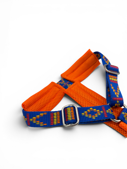 Y-Shape Dog Harness | Padded - Design Your Own