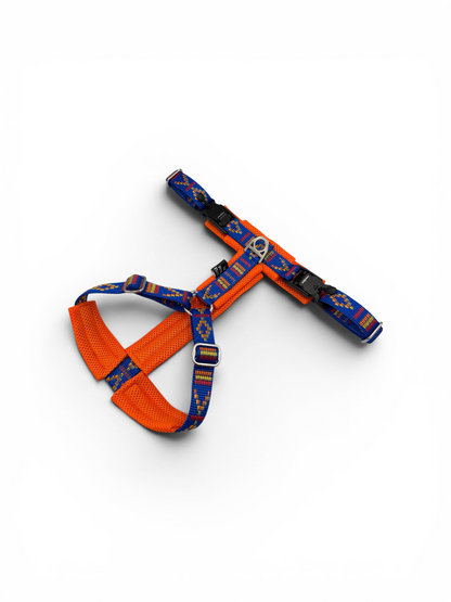 Y-Shape Dog Harness | Padded - Design Your Own