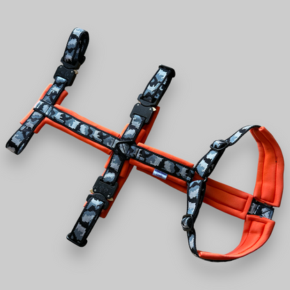 Escape Proof Dog Harness | COBRA® Pro Buckles & Padded - Design Your Own