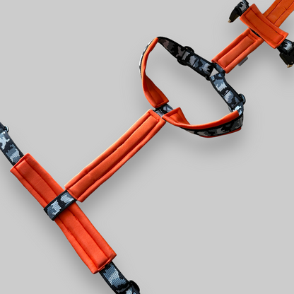 Escape Proof Dog Harness | COBRA® Pro Buckles & Padded - Design Your Own