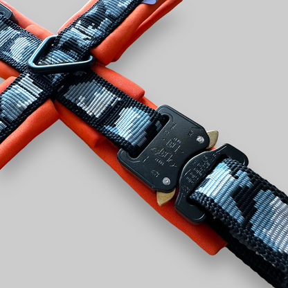 Escape Proof Dog Harness | COBRA® Pro Buckles & Padded - Design Your Own