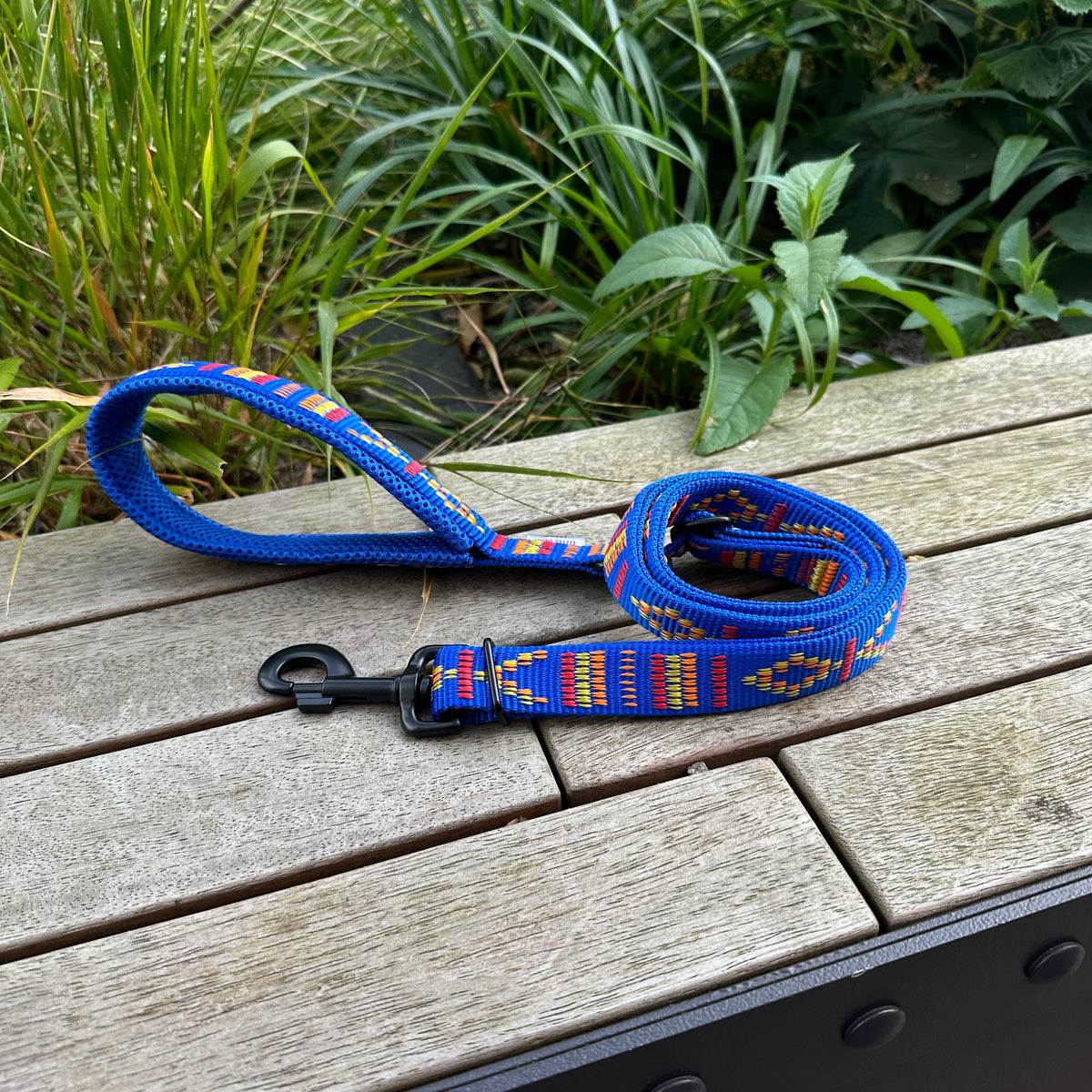 Leashes