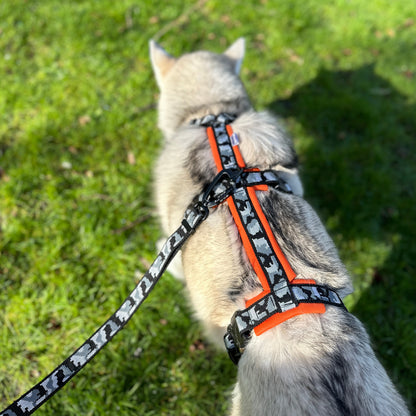 Escape Proof Dog Harness | COBRA® Pro Buckles & Padded - Design Your Own