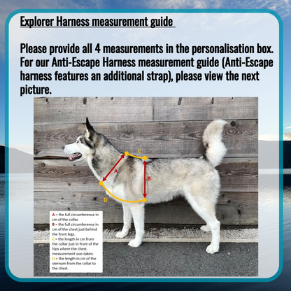 Y-Shape Dog Harness | COBRA® Pro Buckles & Padded - Design Your Own