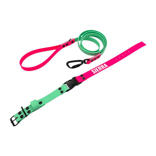 Caribbean Green & Neon Pink Waterproof Dog Collar & Dog Lead Set