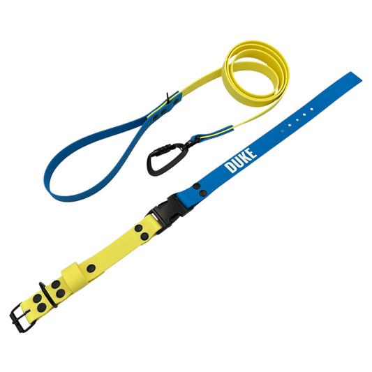 Pastel Yellow & Sky Blue Waterproof Dog Collar & Dog Lead Set