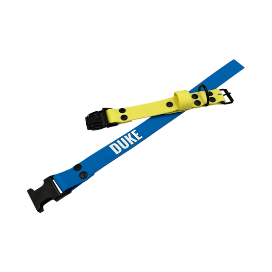 Pastel Yellow & Sky Blue Waterproof Dog Collar