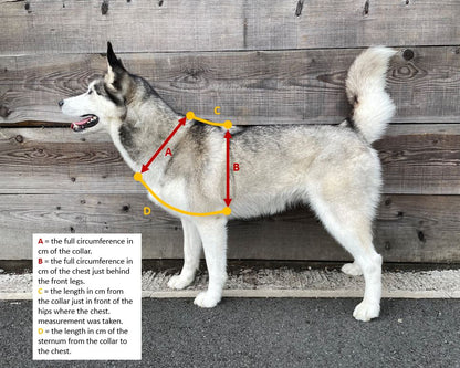 Y-Shape Dog Harness | Waterproof - Design Your Own