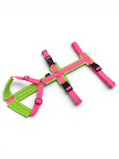 Escape Proof Dog Harness | Padded - Design Your Own