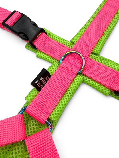 Escape Proof Dog Harness | Padded - Design Your Own