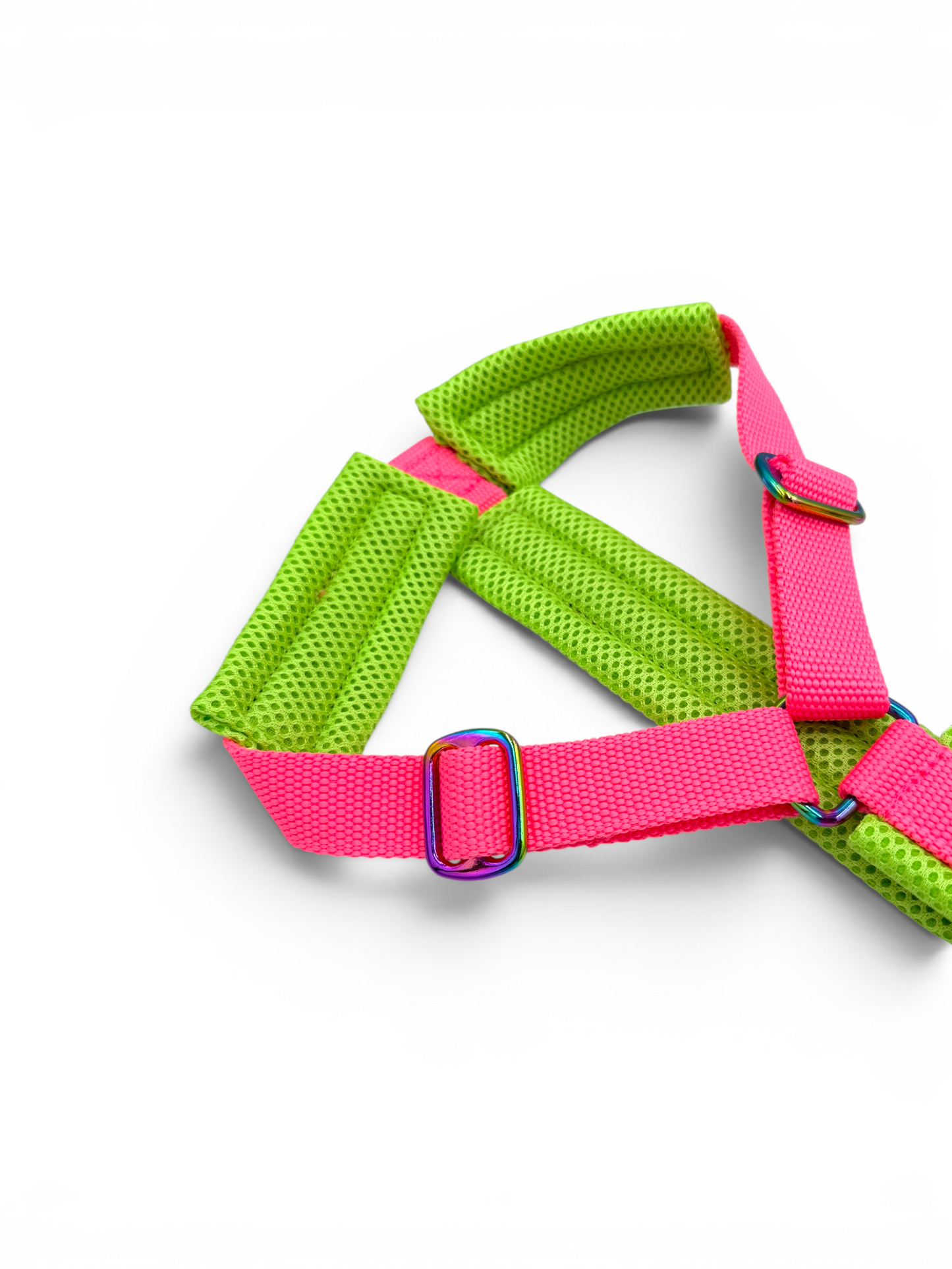 Escape Proof Dog Harness | Padded - Design Your Own