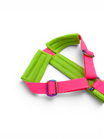 Escape Proof Dog Harness | Padded - Design Your Own