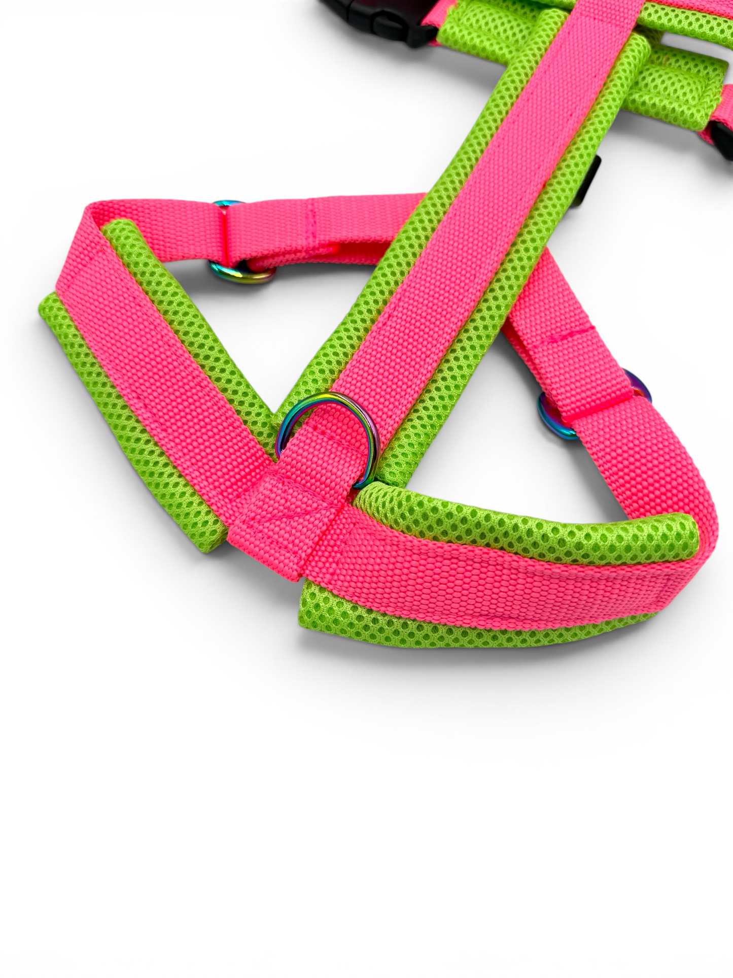 Escape Proof Dog Harness | Padded - Design Your Own