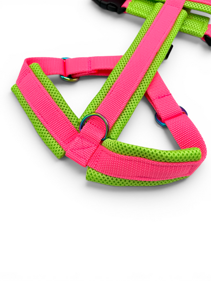 Escape Proof Dog Harness | Padded - Design Your Own