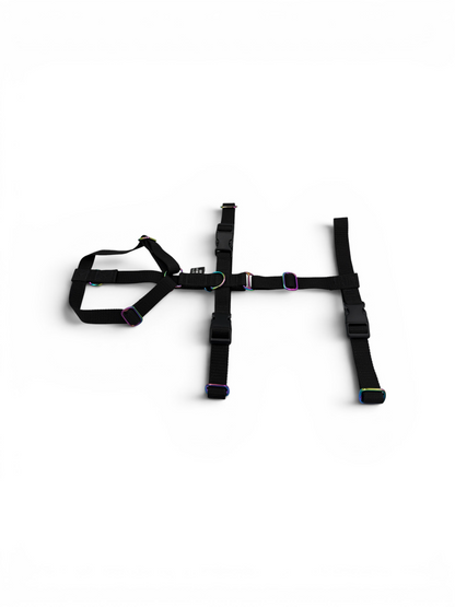 Escape Proof Dog Harness | Adjustable - Design Your Own