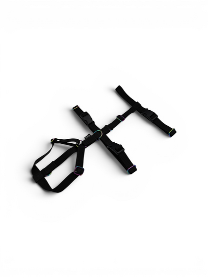 Escape Proof Dog Harness | Adjustable - Design Your Own