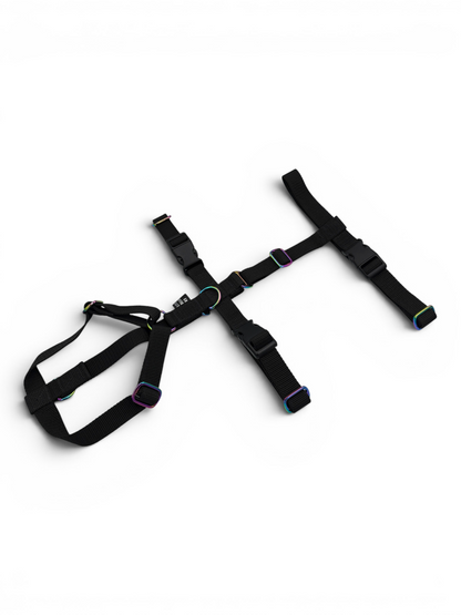 Escape Proof Dog Harness | Adjustable - Design Your Own