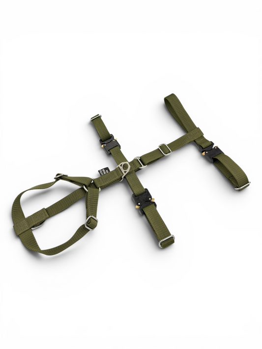 Trail Harness - Pro Expedition Series