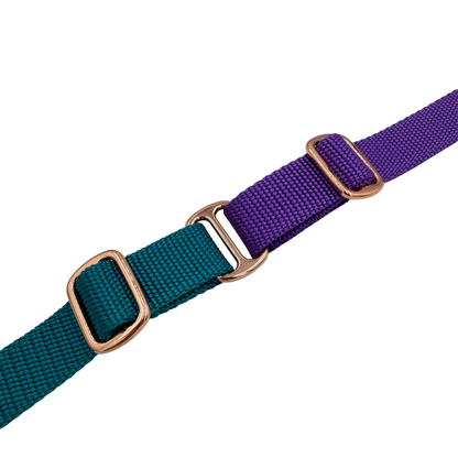Two-Tone Buckle Dog Collar | Adjustable - Design Your Own