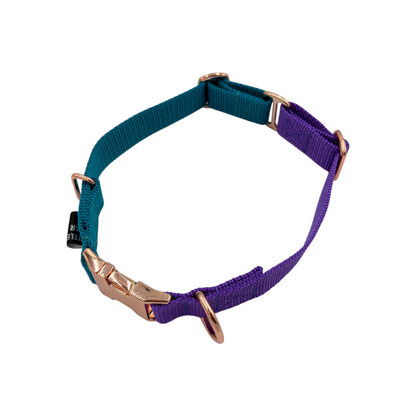 Two-Tone Buckle Dog Collar | Adjustable - Design Your Own