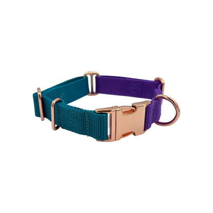 Two-Tone Buckle Dog Collar | Adjustable - Design Your Own
