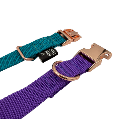Two-Tone Buckle Dog Collar | Adjustable - Design Your Own