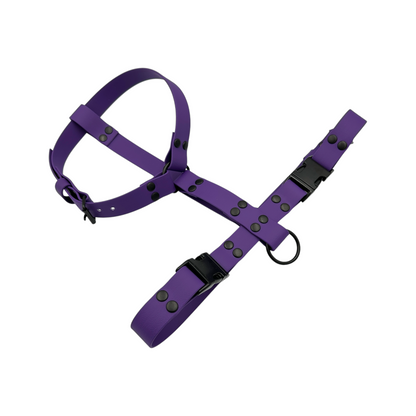 Y-Shape Dog Harness | Waterproof - Design Your Own